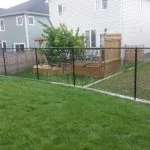 a residential backyard, boasting the benefits of a chain-link fence, features a green lawn and a small raised garden bed with a young tree. multiple houses are visible in the background.