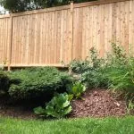 a cedar fence with a landscaped garden bed containing various shrubs and plants, mulched with wood chips.