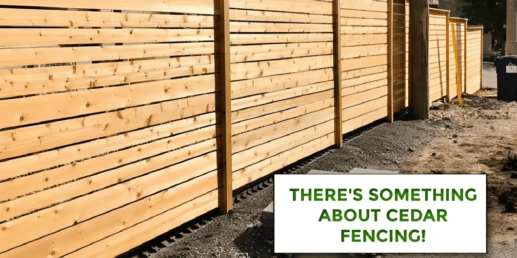 A new cedar wood fence stretches along a property boundary, showcasing its warm tones and sturdy construction.