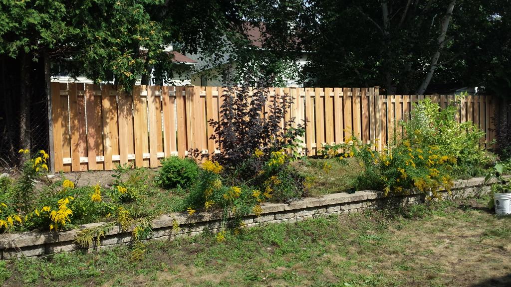 A cedar-fence stands behind a garden bed filled with various plants and yellow flowers. A stone border separates the garden from a grassy area, while trees are visible in the background.
