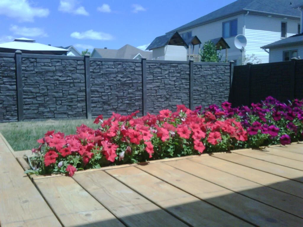 a wooden deck with pink and purple flowers in a garden bed, enclosed by a gray stone fence. houses and a clear blue sky are visible in the background—a perfect spot to review plants to grow along your fence.