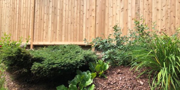 a wooden fence constructed by fence builders ottawa in a yard with plants and shrubs.